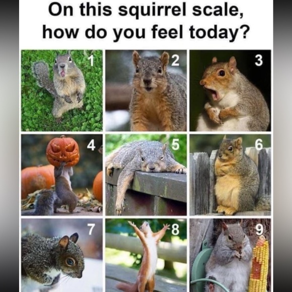 💎WALLET, BAG OR JEWELRY….BRILLIANT GIVEAWAY TIME! - Picture 6 of 9